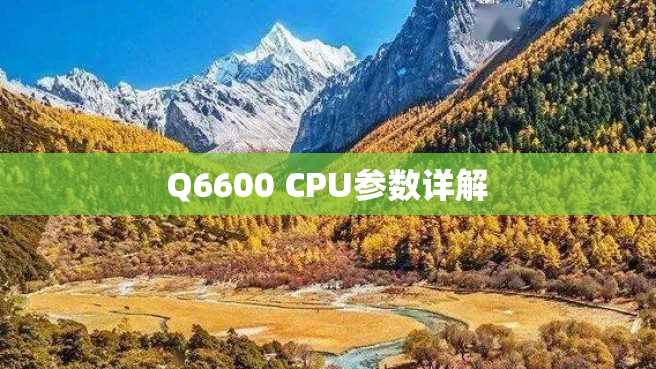 Q6600 CPU参数详解 Q6600 CPU参数详解