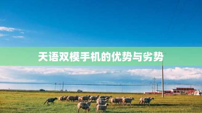 天语双模手机的优势与劣势 天语双模手机的优势与劣势