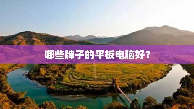 哪些牌子的平板电脑好？
