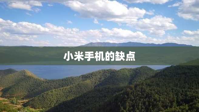 小米手机的缺点