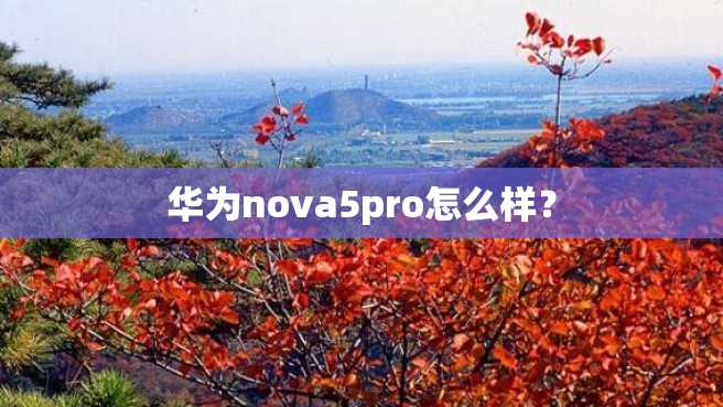 华为nova5pro怎么样? 华为nova5pro怎么样?