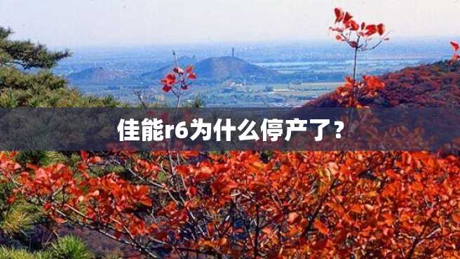 佳能r6为什么停产了? 佳能r6为什么停产了?