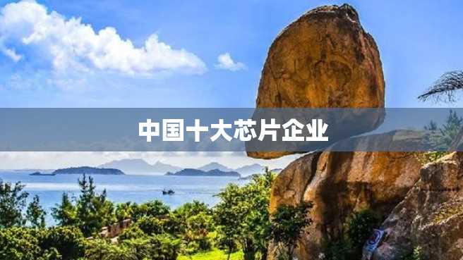中国十大芯片企业 中国十大芯片企业
