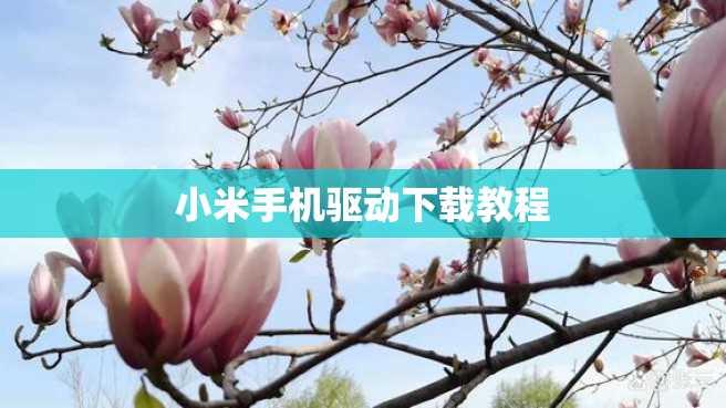 小米手机驱动下载教程