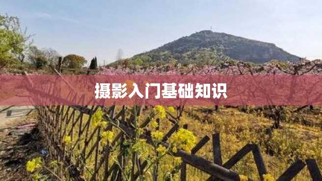 摄影入门基础知识 摄影入门基础知识