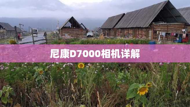 尼康D7000相机详解 尼康D7000相机详解