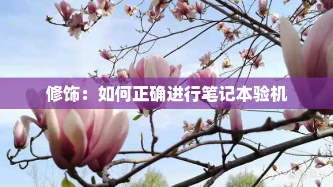 修饰:如何正确进行笔记本验机 修饰:如何正确进行笔记本验机
