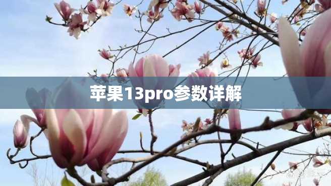 苹果13pro参数详解 苹果13pro参数详解
