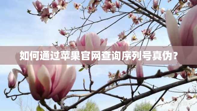 如何通过苹果官网查询序列号真伪? 如何通过苹果官网查询序列号真伪?