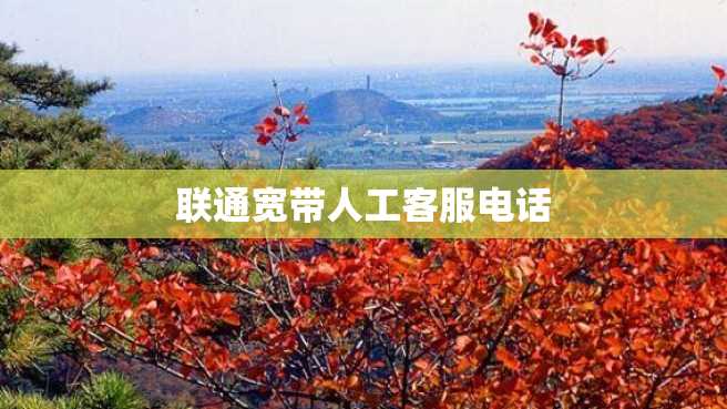 联通宽带人工客服电话