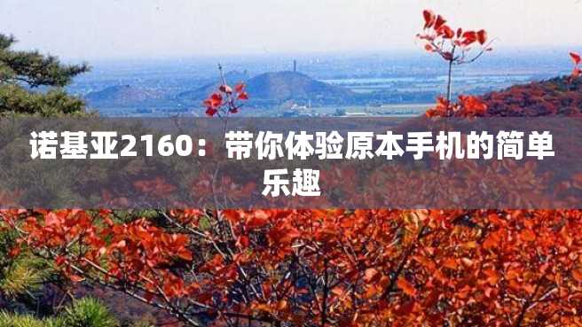 诺基亚2160:带你体验原本手机的简单乐趣 诺基亚2160:带你体验原本手机的简单乐趣