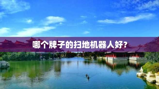 哪个牌子的扫地机器人好? 哪个牌子的扫地机器人好?