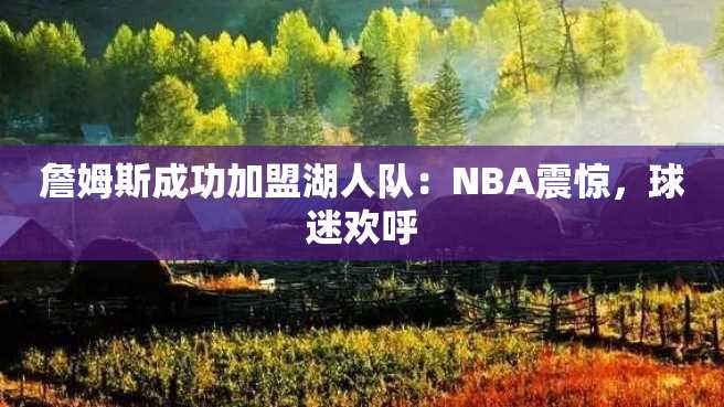 詹姆斯成功加盟湖人队：NBA震惊，球迷欢呼