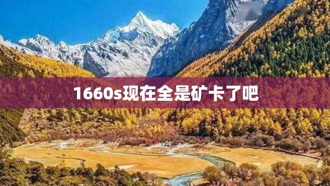1660s现在全是矿卡了吧 1660s现在全是矿卡了吧