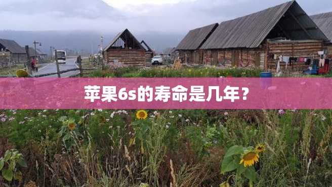 苹果6s的寿命是几年? 苹果6s的寿命是几年?