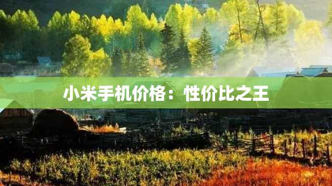 小米手机价格:性价比之王 小米手机价格:性价比之王