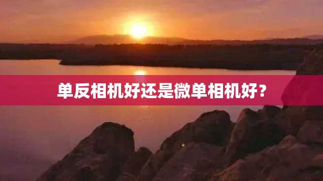 单反相机好还是微单相机好? 单反相机好还是微单相机好?