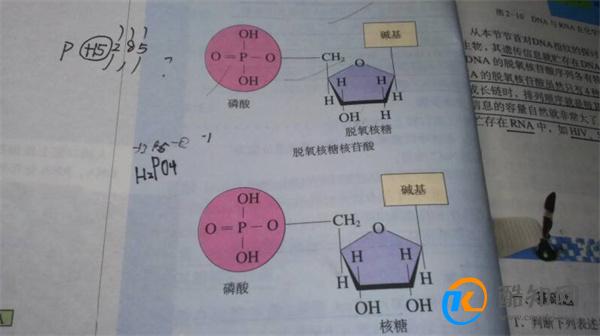共价化合物定义 什么是共价化合物_酷知科普
