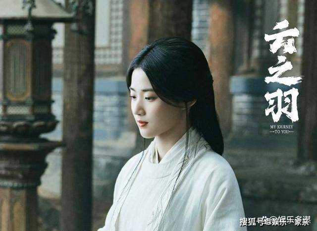 《云之羽》上官浅围剿宫门,宫商角出剑却得知有子 结局惹人泪目