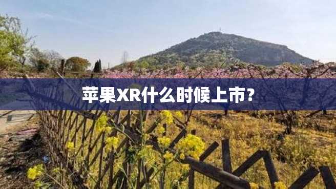 苹果XR什么时候上市? 苹果XR什么时候上市?
