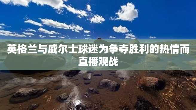 英格兰与威尔士球迷为争夺胜利的热情而直播观战 英格兰与威尔士球迷为争夺胜利的热情而直播观战