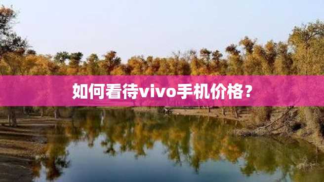 如何看待vivo手机价格? 如何看待vivo手机价格?