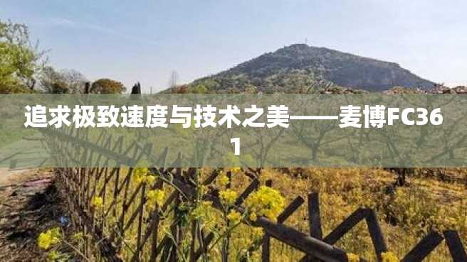 追求极致速度与技术之美——麦博FC361 追求极致速度与技术之美——麦博FC361