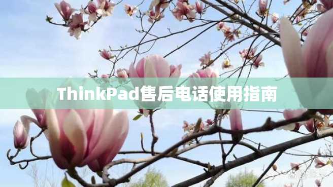 ThinkPad售后电话使用指南
