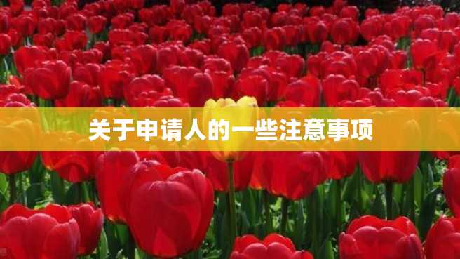 关于申请人的一些注意事项 关于申请人的一些注意事项