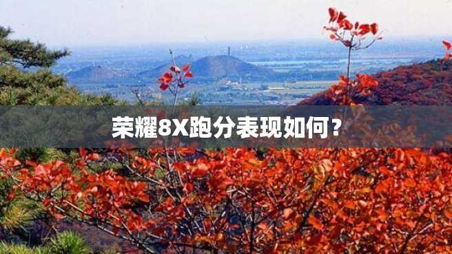 荣耀8X跑分表现如何? 荣耀8X跑分表现如何?