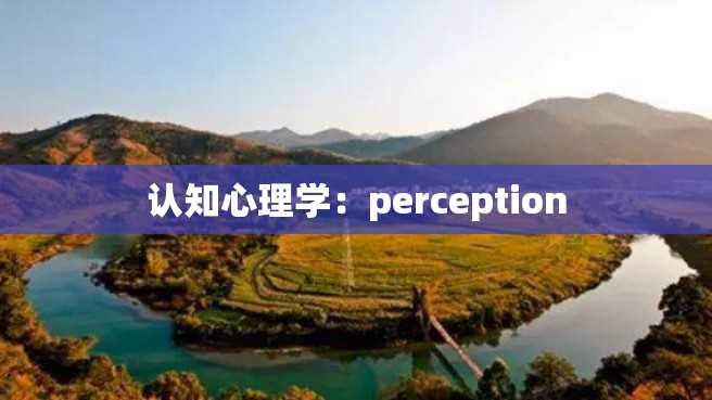 认知心理学:perception 认知心理学:perception