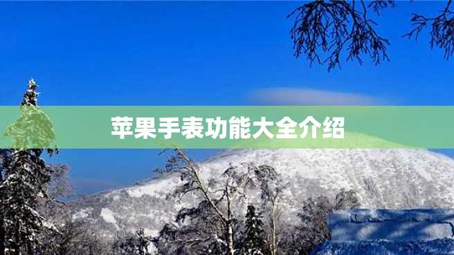 苹果手表功能大全介绍