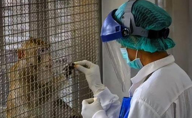 国家卫生健康委:猴痘9月20日起纳入乙类传染病管理 有什么意义