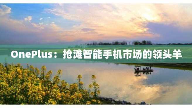 OnePlus:抢滩智能手机市场的领头羊 OnePlus:抢滩智能手机市场的领头羊