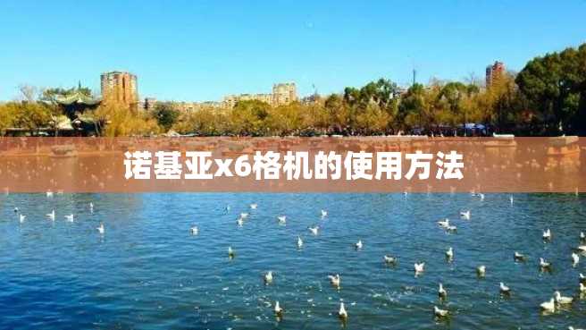 诺基亚x6格机的使用方法 诺基亚x6格机的使用方法