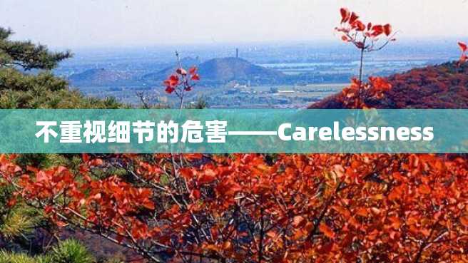 不重视细节的危害——Carelessness 不重视细节的危害——Carelessness