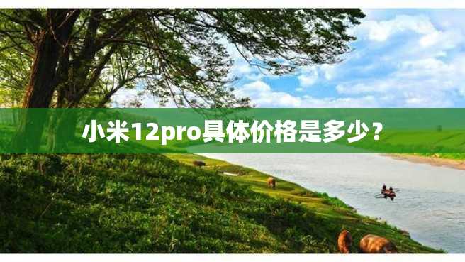 小米12pro具体价格是多少? 小米12pro具体价格是多少?