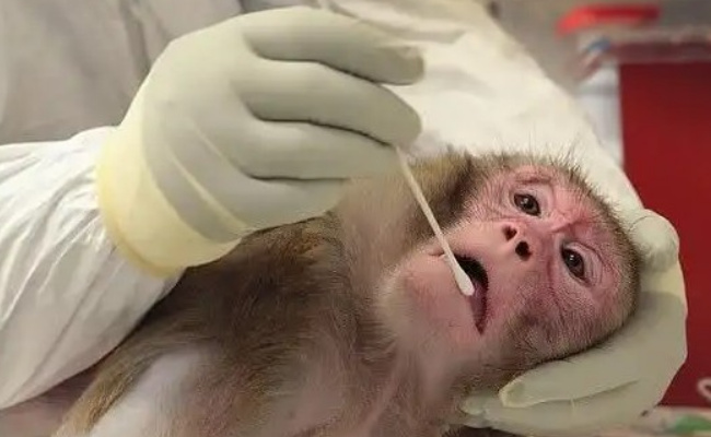 国家卫生健康委:猴痘9月20日起纳入乙类传染病管理 有什么意义