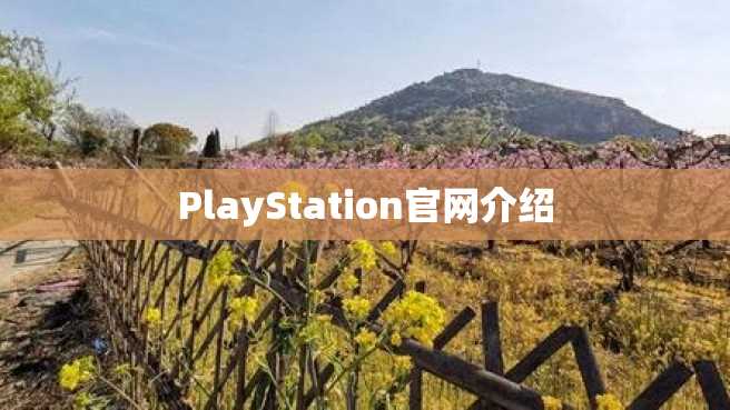 PlayStation官网介绍 PlayStation官网介绍