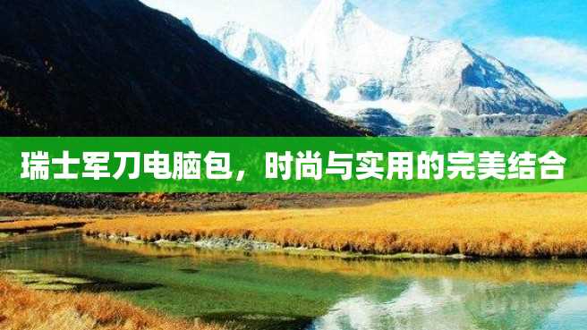 瑞士军刀电脑包,时尚与实用的完美结合 瑞士军刀电脑包,时尚与实用的完美结合