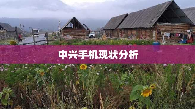 中兴手机现状分析 中兴手机现状分析