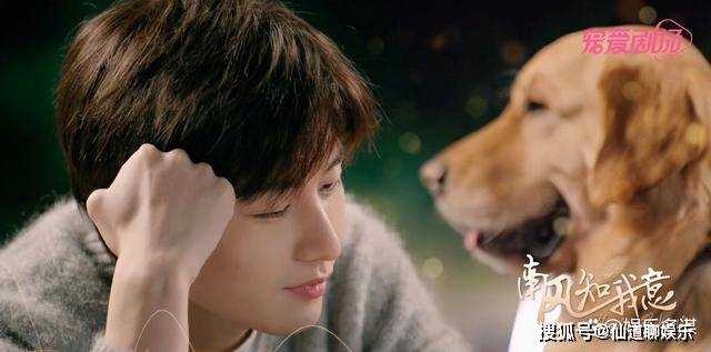 《南风知我意》朱旧怀孕诞子,傅云深宴请四方 姜淑宁甩出继承权:给我孙子