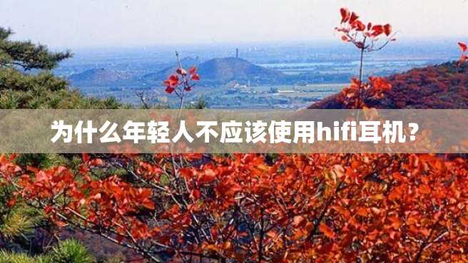 为什么年轻人不应该使用hifi耳机? 为什么年轻人不应该使用hifi耳机?