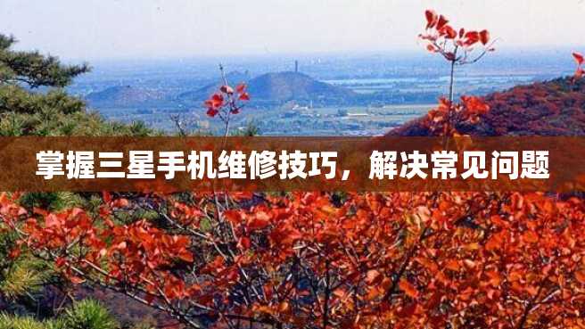 掌握三星手机维修技巧，解决常见问题