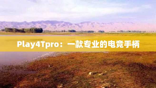 Play4Tpro:一款专业的电竞手柄 Play4Tpro:一款专业的电竞手柄