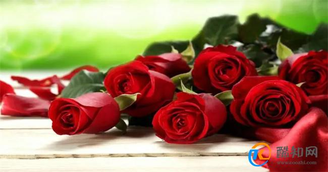 代表友谊的花束 闺蜜之间适合送什么花_酷知科普