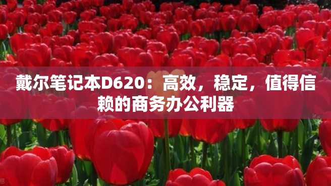 戴尔笔记本D620:高效,稳定,值得信赖的商务办公利器 戴尔笔记本D620:高效,稳定,值得信赖的商务办公利器