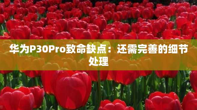 华为P30Pro致命缺点:还需完善的细节处理 华为P30Pro致命缺点:还需完善的细节处理
