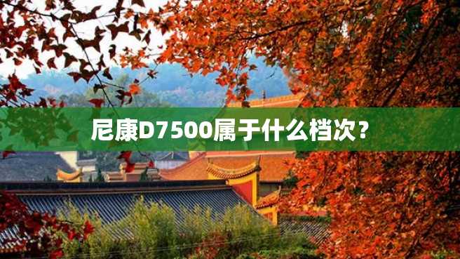 尼康D7500属于什么档次? 尼康D7500属于什么档次?