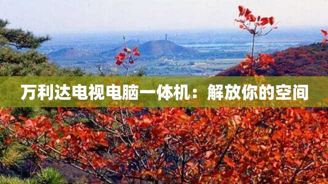 万利达电视电脑一体机:解放你的空间 万利达电视电脑一体机:解放你的空间